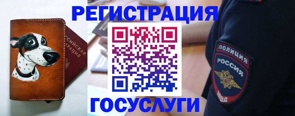 временная регистрация в квартире в Красногорске